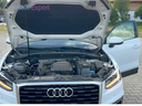 Motor NEU.webp