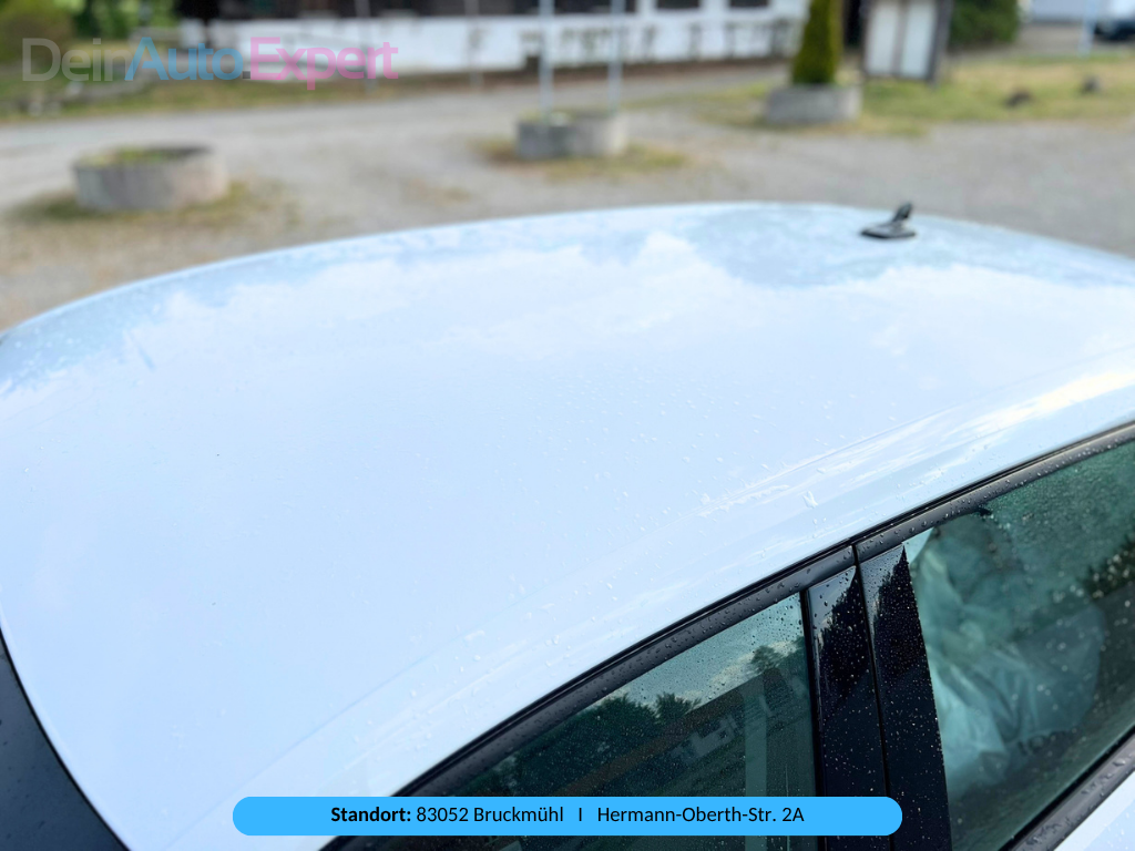 Dach NEU.webp